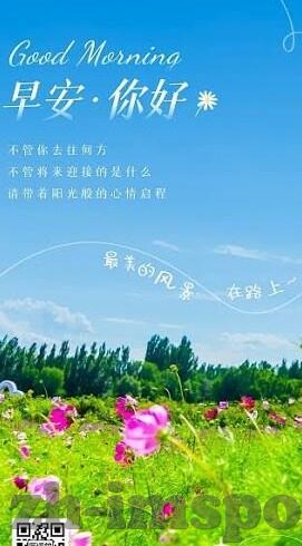 炸金花房卡作弊-炸金花房卡作弊，游戏公平性的挑战与应对